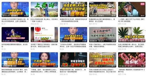 短视频 新闻,短视频揭示新闻背后的故事