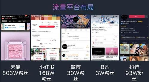 如何利用短视频带货,轻松打造爆款，实现高效转化