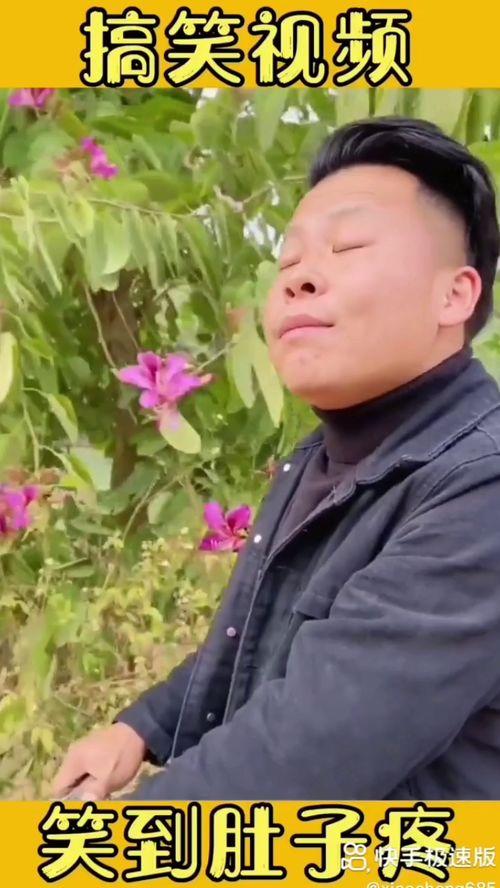高清搞笑短视频,短视频带你领略欢乐瞬间