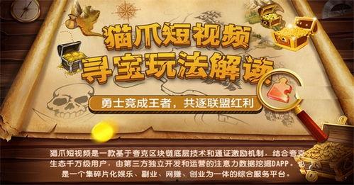 猫爪短视频剧本,猫爪短视频剧本揭秘