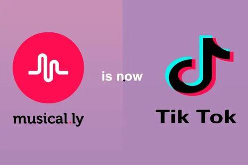 海外tiktok短视频,全球视角下的TikTok短视频潮流解析
