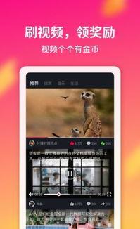 广告短视频网站,探索广告短视频网站的魅力与趋势