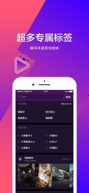 短视频地址,探索[视频标题]背后的精彩瞬间