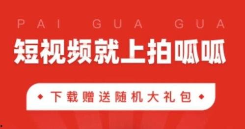 拍呱呱短视频策划,创意无限，趣味横生的短视频盛宴