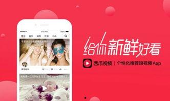 短视频名字,穿越时空的旋律nn副标题：探寻音乐与历史的奇妙交融