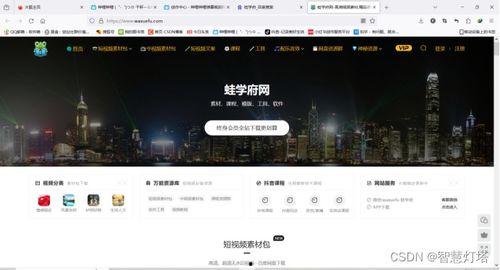 短视频在线的网站,捕捉潮流瞬间的数字舞台