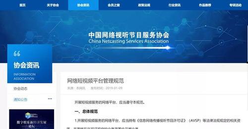 网络短视频,短视频潮流下的文化现象解析