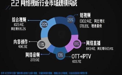短视频 国外研究,探索多元文化的学术之旅