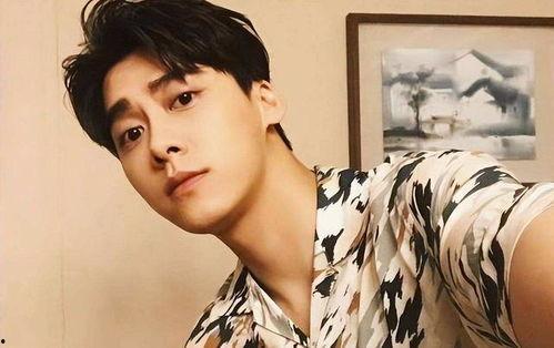 李易峰短视频,展现明星魅力与生活瞬间