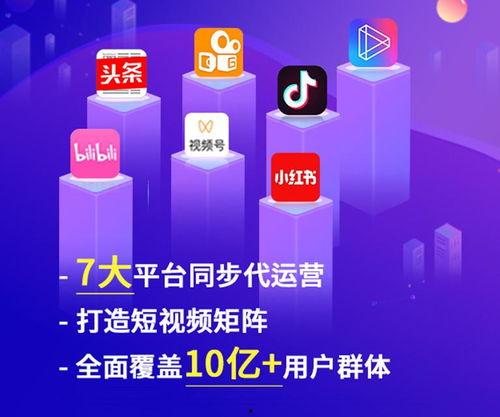 短视频代运营多少钱,价格揭秘与性价比考量